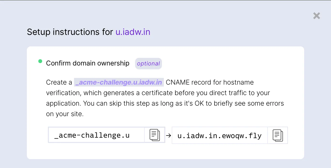Verifying custom domain ownership on fly.io